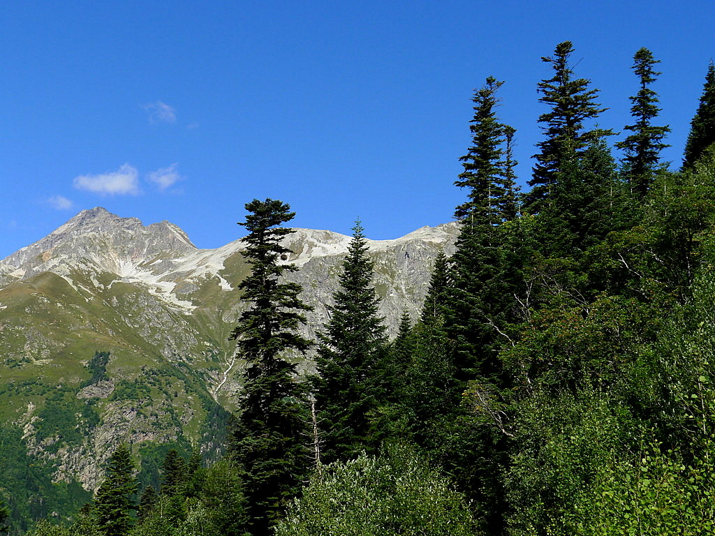 Mt.Dombay-Ulgen